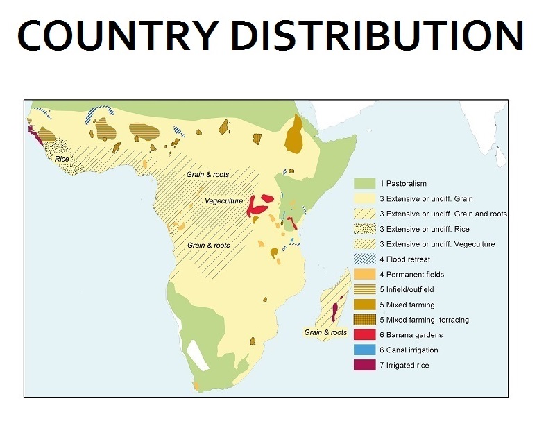 Sub Saharan Africa food production