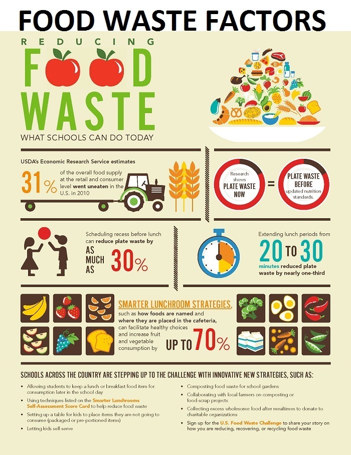 food waste today