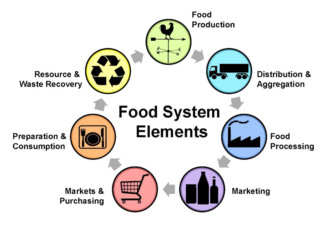 FOOD SUPPLY CHAIN DIAGRAM