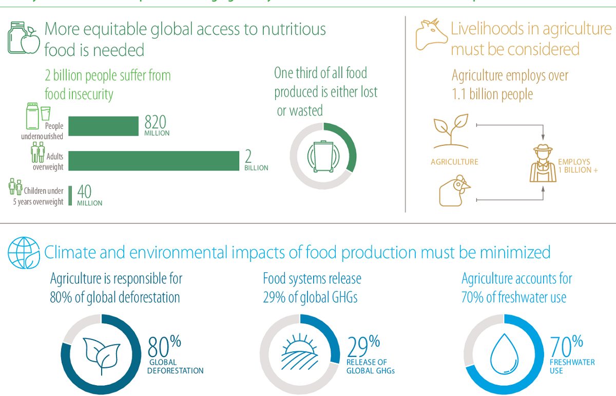 nutrition food policy-global