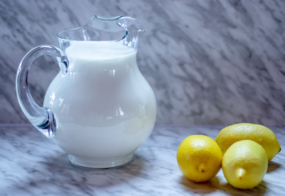 jug with milk today recipes today