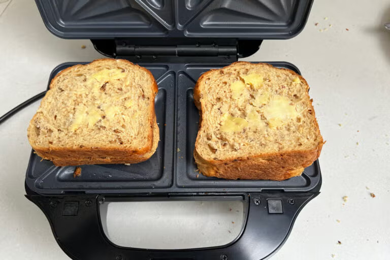 sandwich maker today recipes today