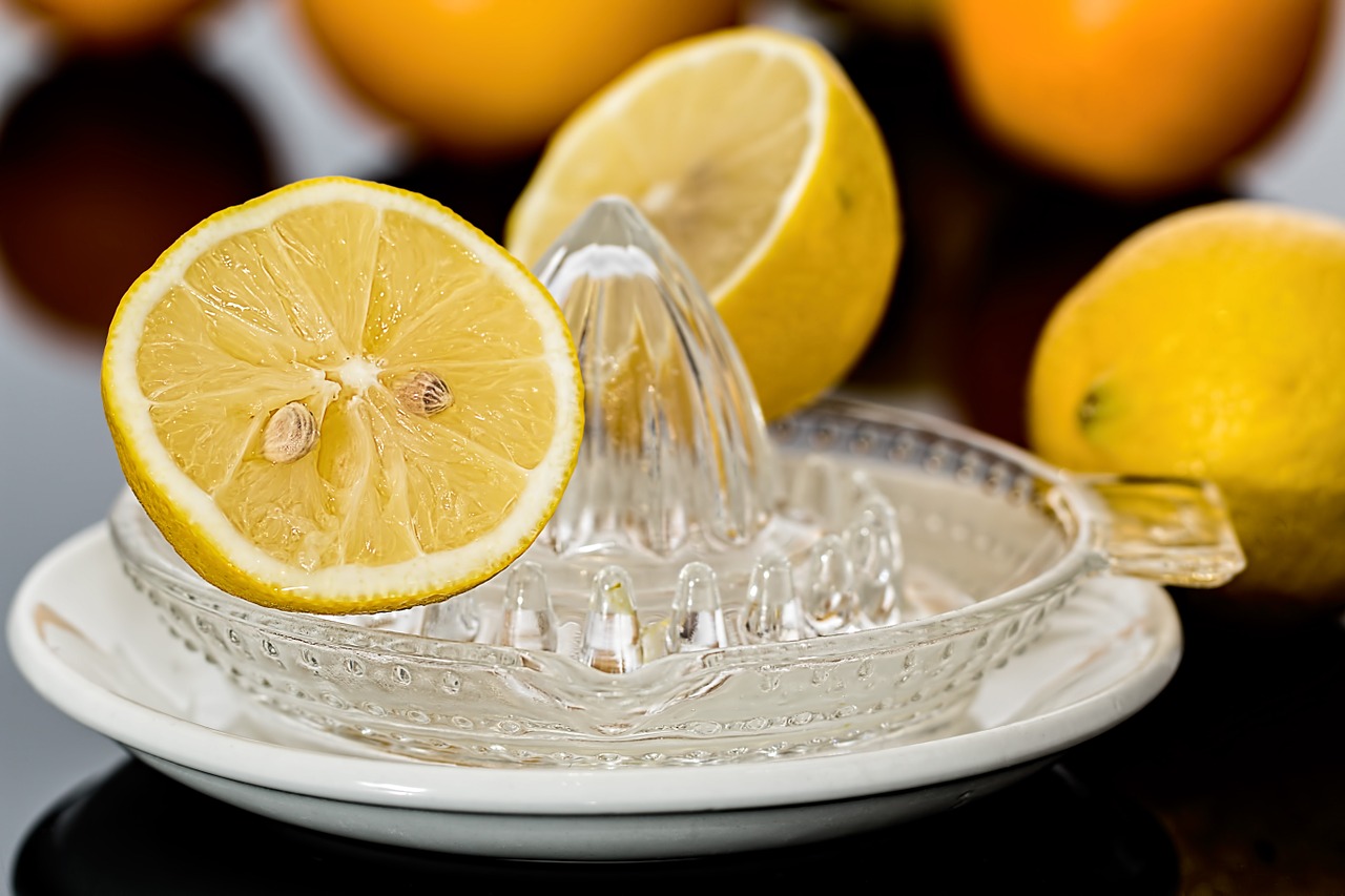 simple lemon squeezer today recipes today