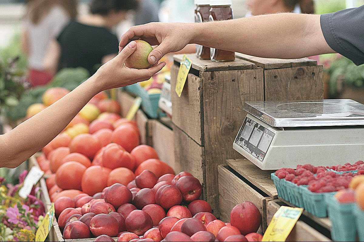 fresh market ingredients today food recipes