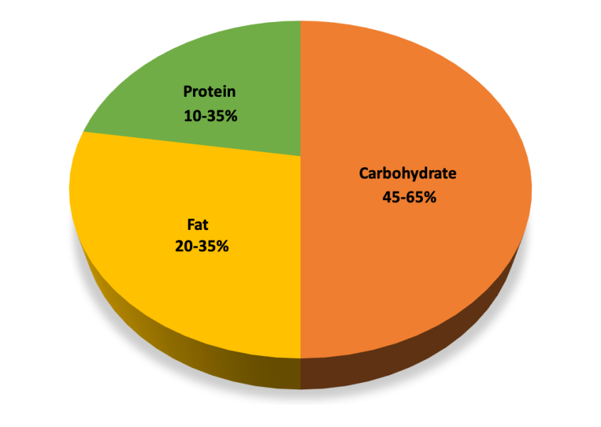 nutrition guidance food recipes today