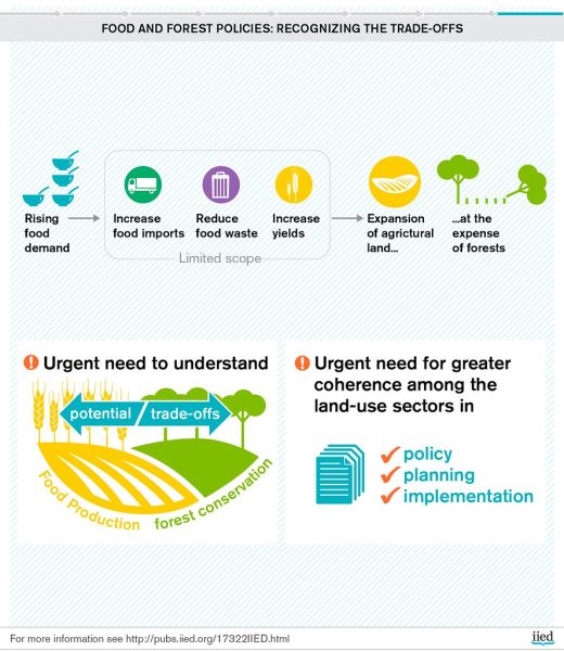 food policy and society today recipes today