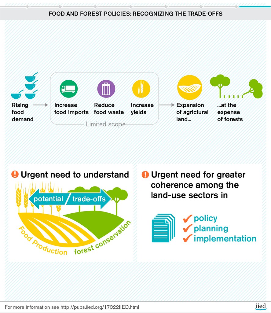 food policy and society today recipes today