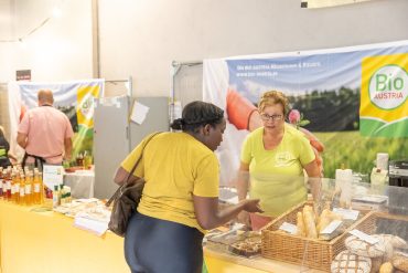 sustainable meals today food recipes