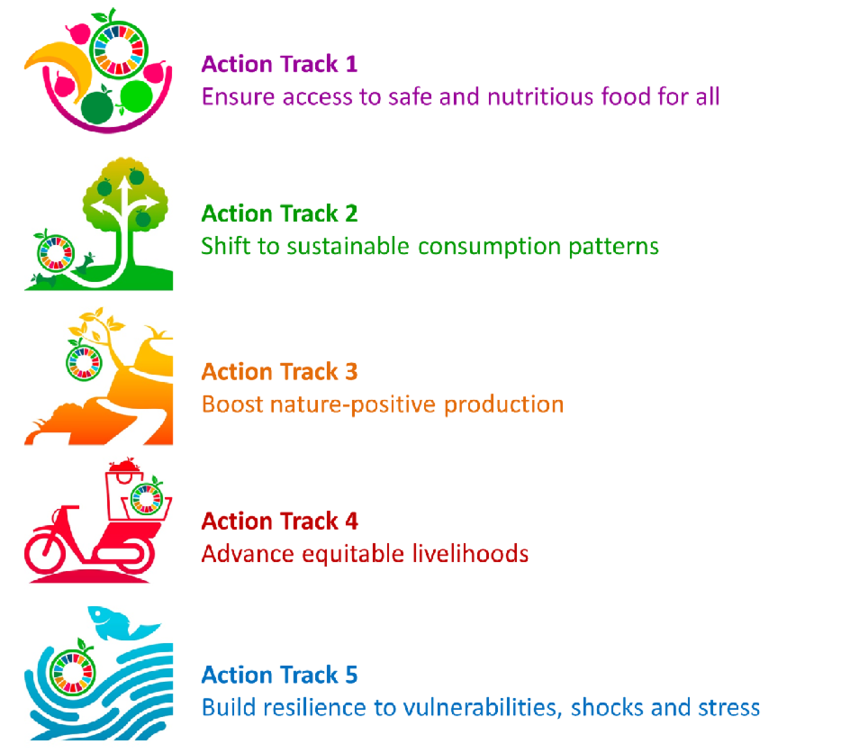 infographic sustainable eating food today