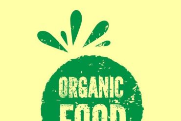 organic food today food recipes