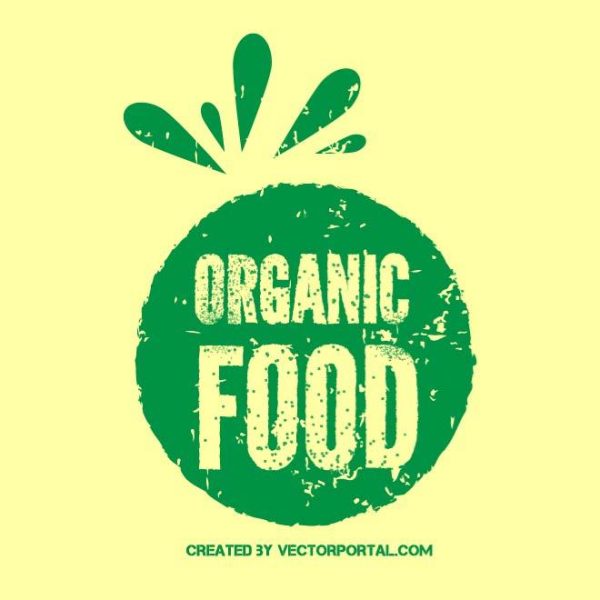 organic food today food recipes