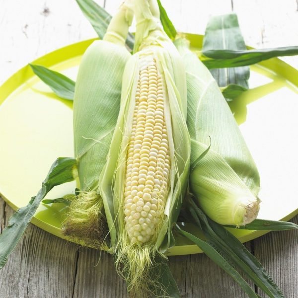 science and future of food