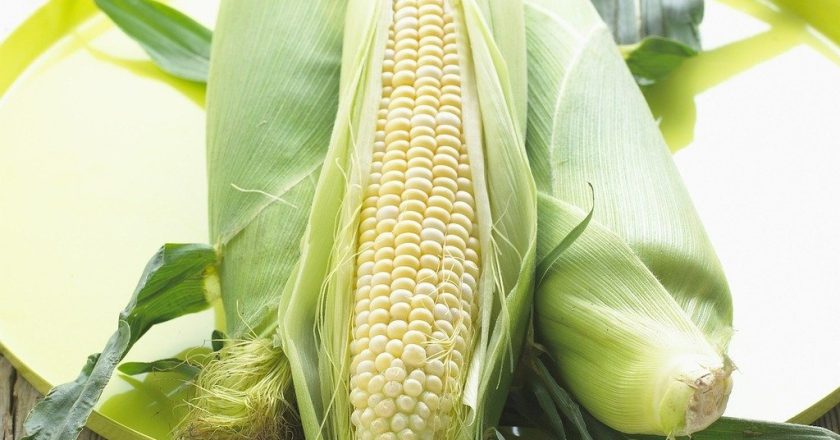 The Evolution of Food Technology: Science will tell what we eat