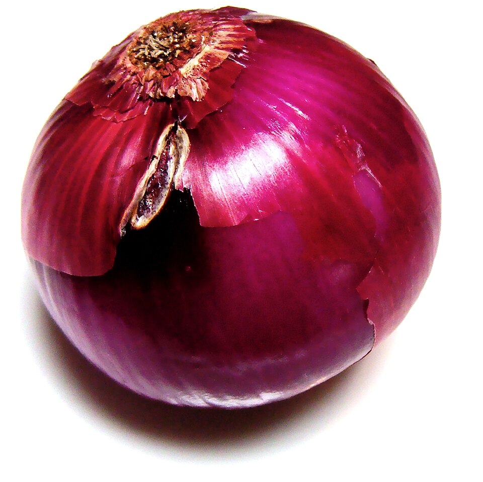 a bulb of onion