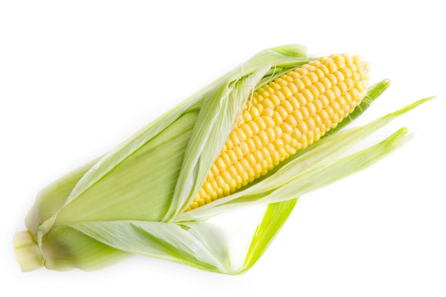 A corn on the cob