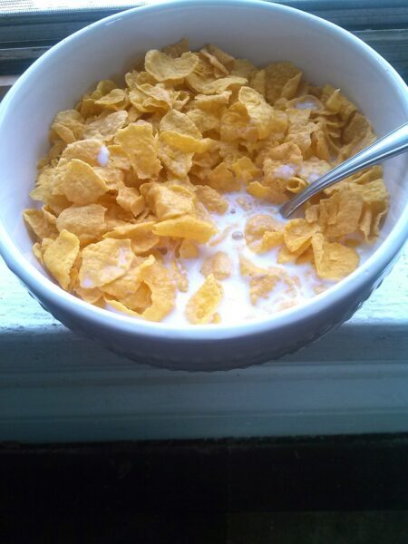Corn meal in a bowl