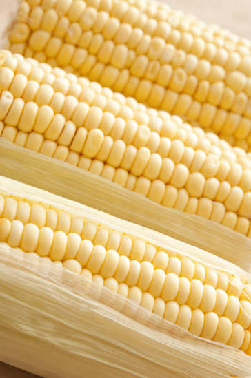 Cobs from which con meal is made